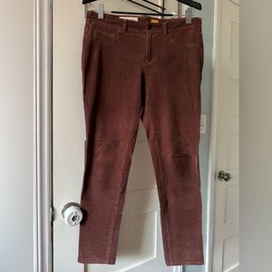 PILCRO thin wale cords